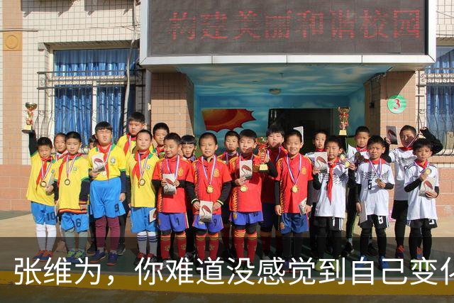 张维为，你难道没感觉到自己变化了吗？