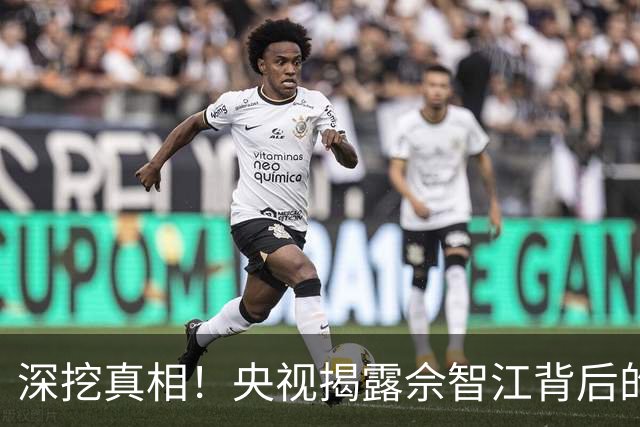 深挖真相！央视揭露佘智江背后的秘密与赵薇黄有龙离婚疑云